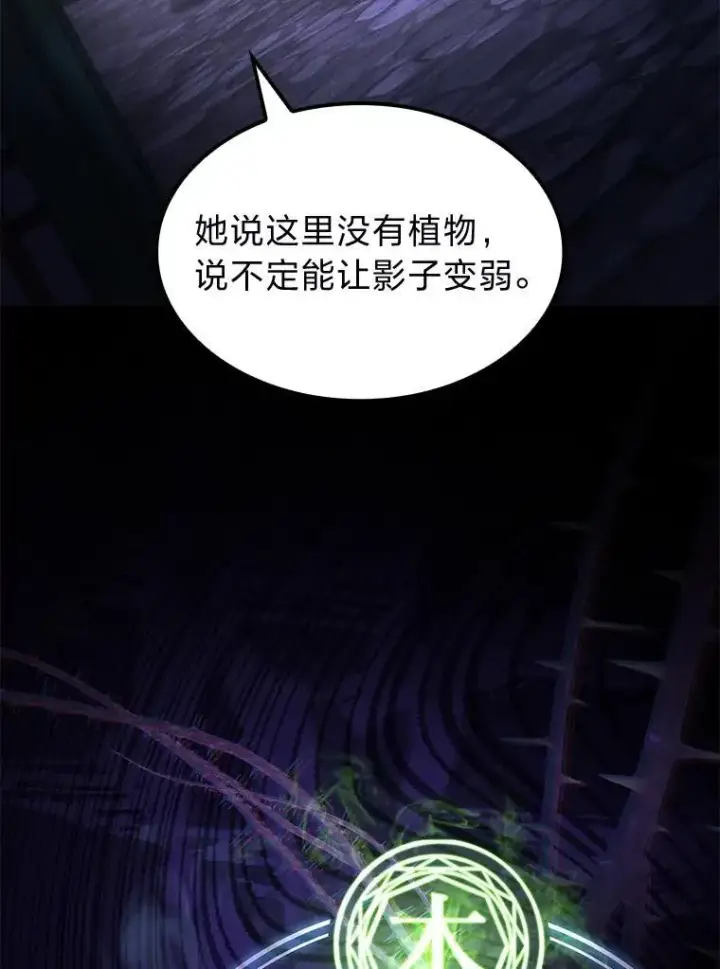《F级四柱猎人》44.令他好奇的身世图88