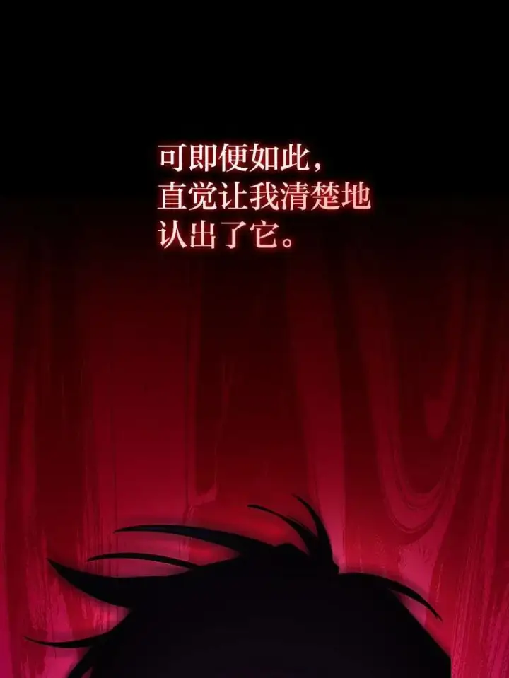 《F级四柱猎人》48.本体与影子图83
