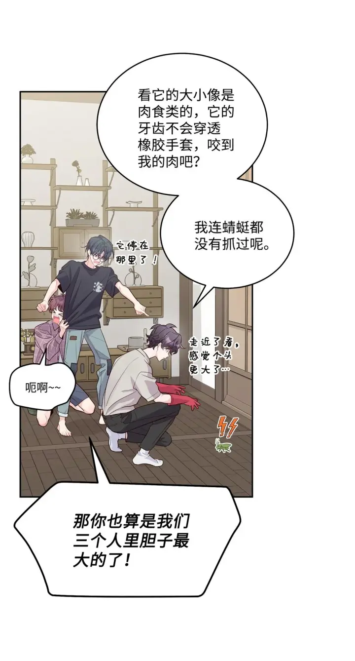 《Merry Marbling 云石般的我们》74 他们俩的关系是？图66