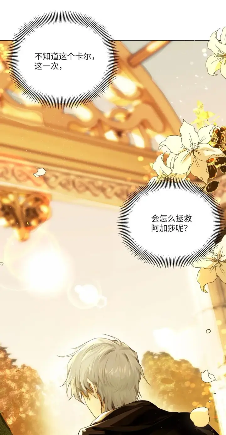 漫画《NPC命运觉醒曲》025 卡尔，你到底是个什么样的人？？？第12张图