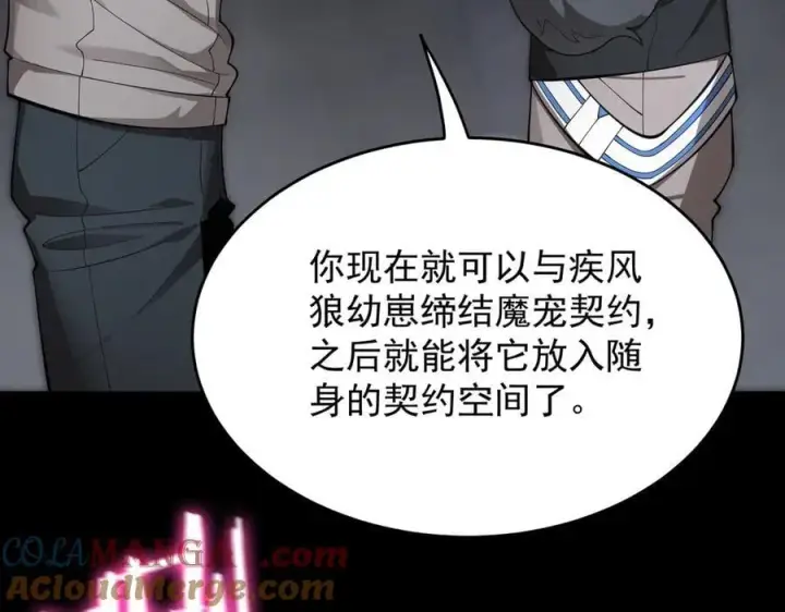 《SSS级超越常理的圣骑士》第27话 史诗阶魔宠图137
