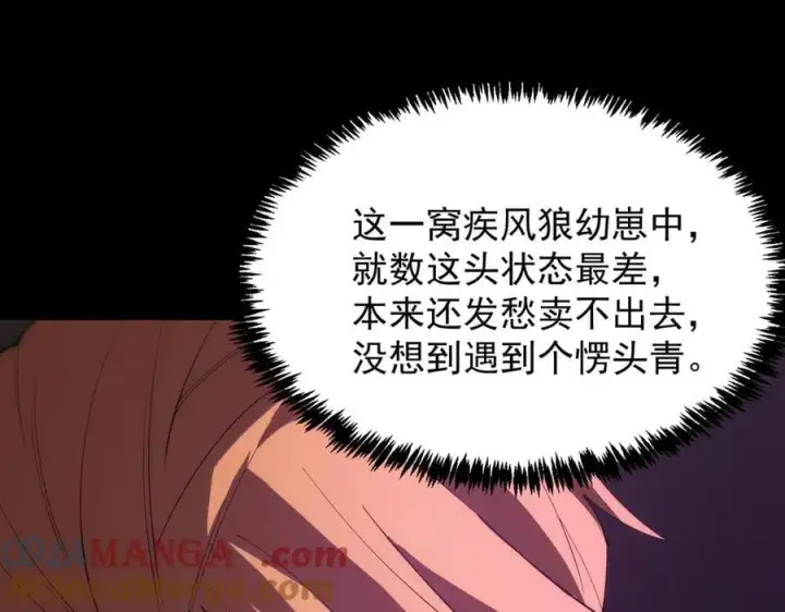 《SSS级超越常理的圣骑士》第27话 史诗阶魔宠图141