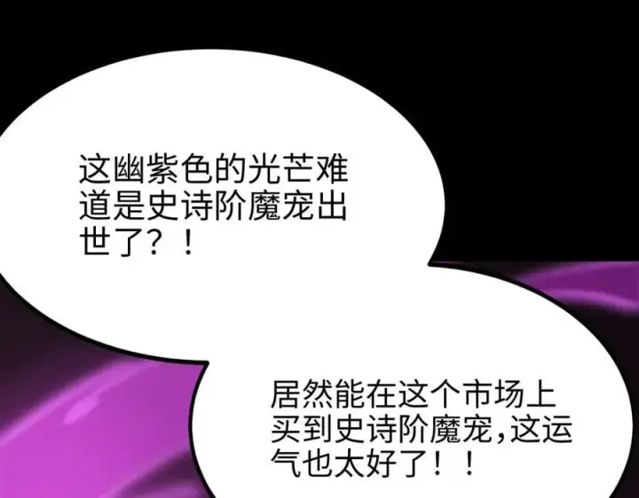 《SSS级超越常理的圣骑士》第27话 史诗阶魔宠图158