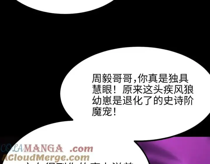 《SSS级超越常理的圣骑士》第27话 史诗阶魔宠图161