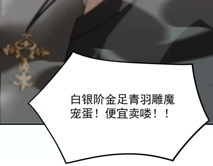 《SSS级超越常理的圣骑士》第27话 史诗阶魔宠图99