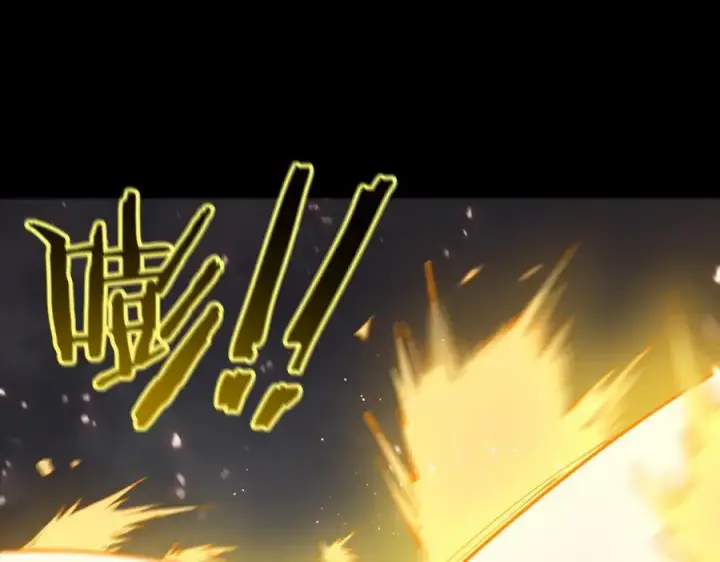 《SSS级超越常理的圣骑士》第45话 王轩的底牌图192