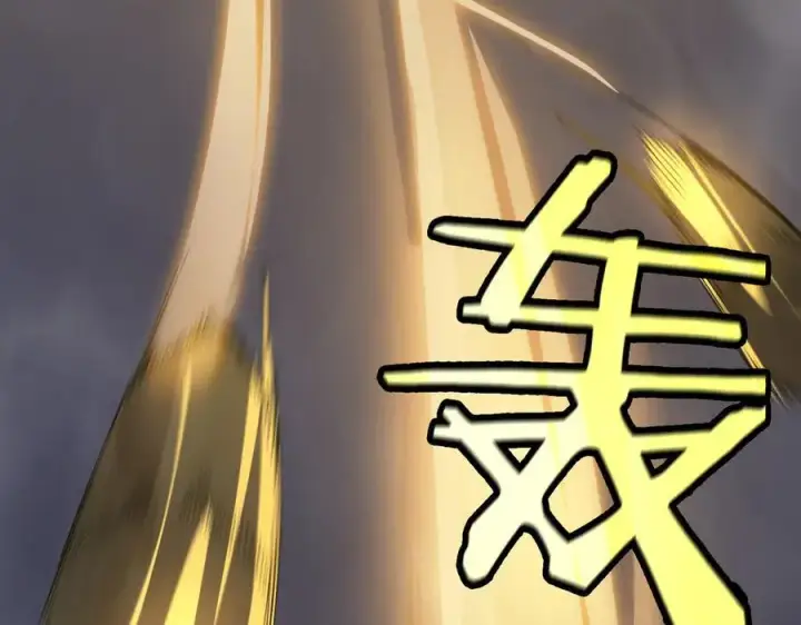 《SSS级超越常理的圣骑士》第45话 王轩的底牌图46