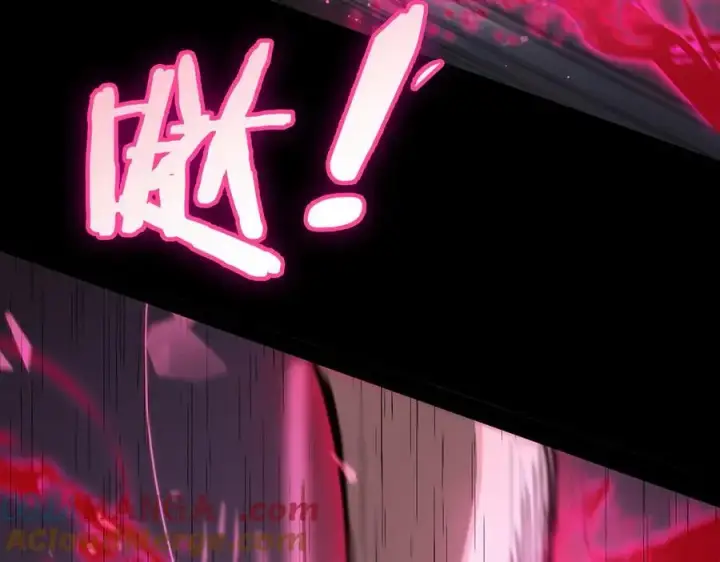 《SSS级超越常理的圣骑士》第45话 王轩的底牌图81