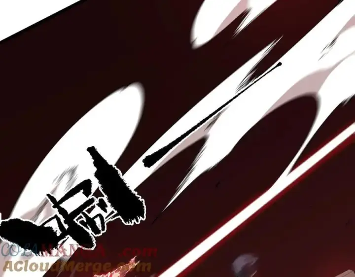 《SSS级超越常理的圣骑士》第50话 狂战图133