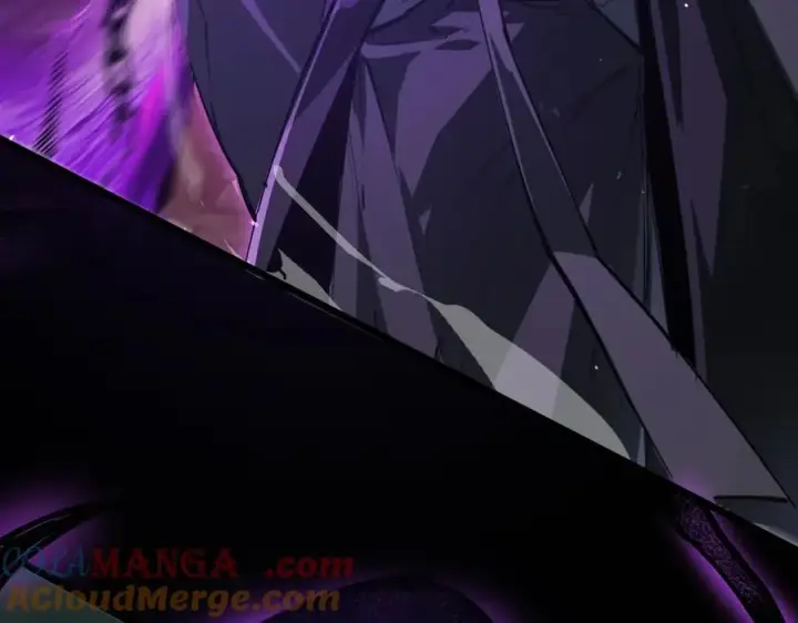 《SSS级超越常理的圣骑士》第74话 混沌炼狱阵图177