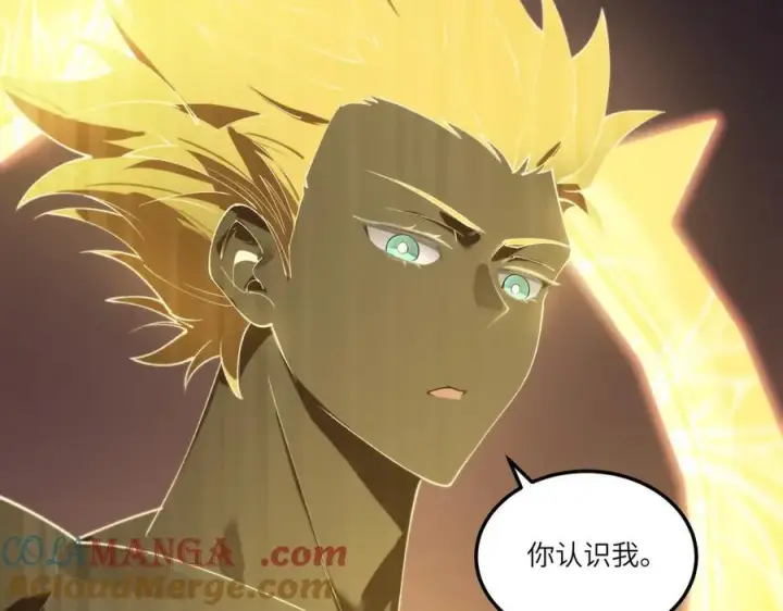 《SSS级超越常理的圣骑士》第75话 二转裁决者（上）图117