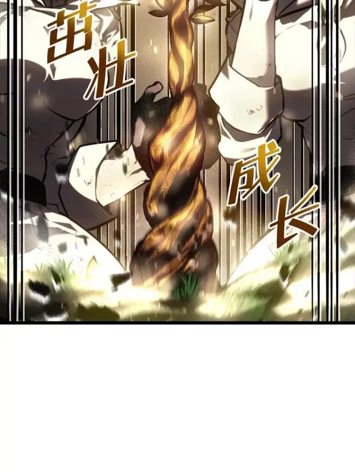 《SSS级狂战士回归》46.世界树之苗图123