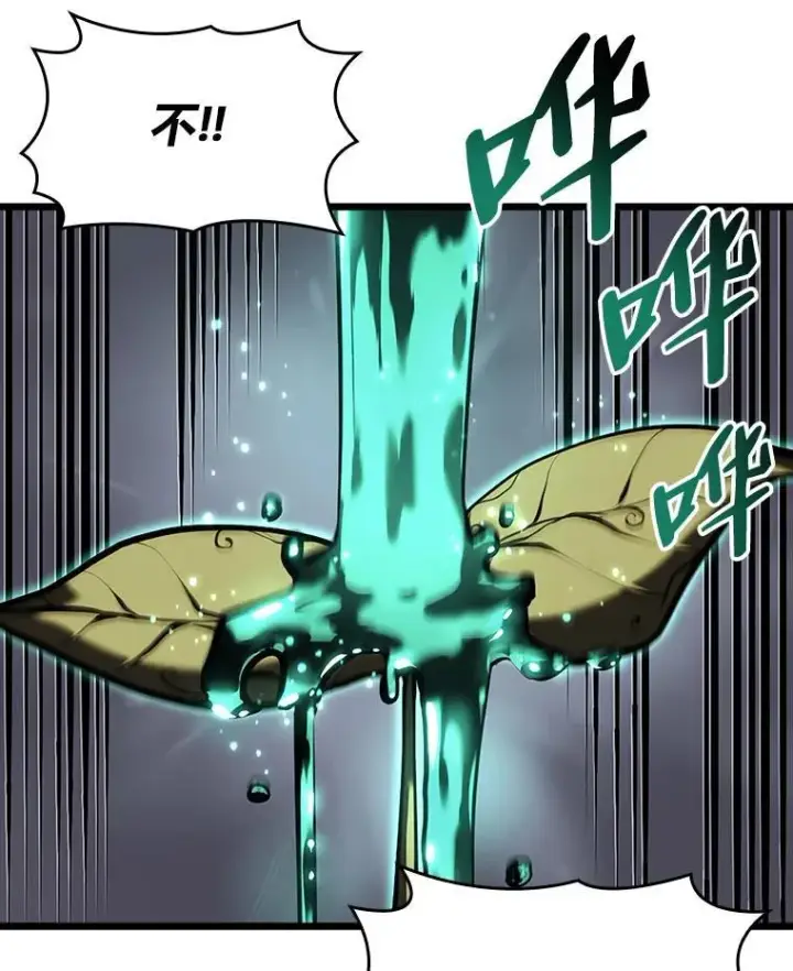 《SSS级狂战士回归》46.世界树之苗图96