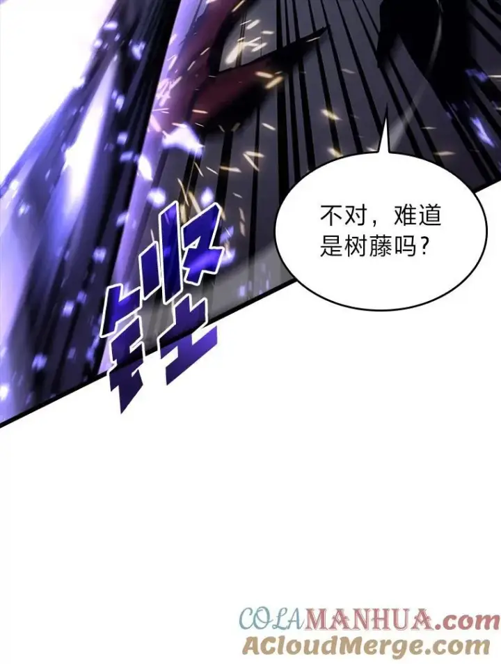 《SSS级狂战士回归》47.污染之森的守护者图133