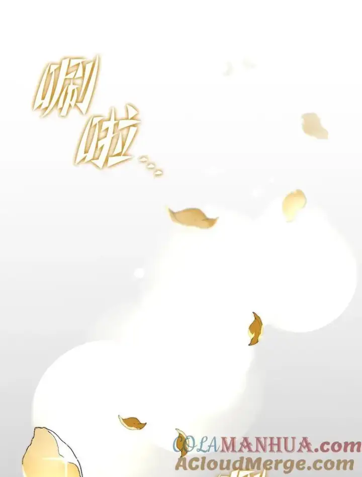 《SSS级狂战士回归》58.高等精灵的誓约图53