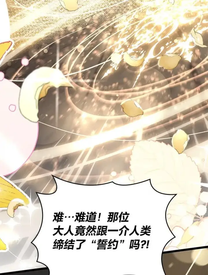 《SSS级狂战士回归》58.高等精灵的誓约图59