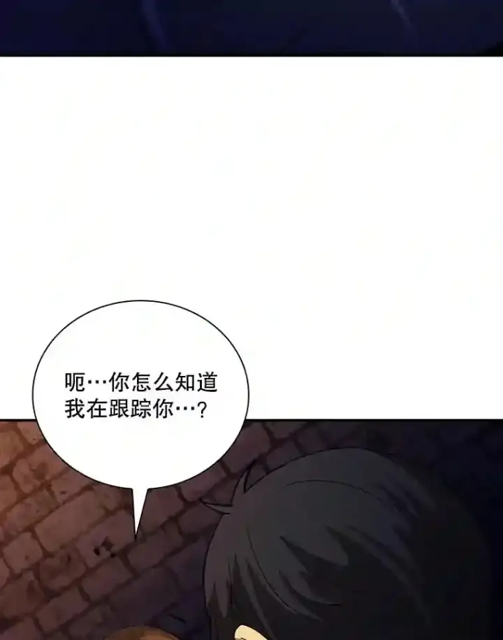 《SSS级隐藏大佬》17.偶得武器图108