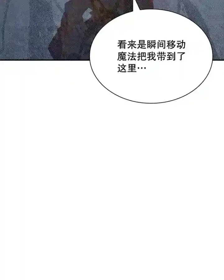 《SSS级隐藏大佬》32.与S市公会会长之战图126