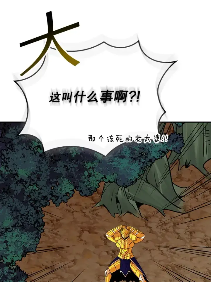 《SSS级隐藏大佬》41.四人战队（2）图47