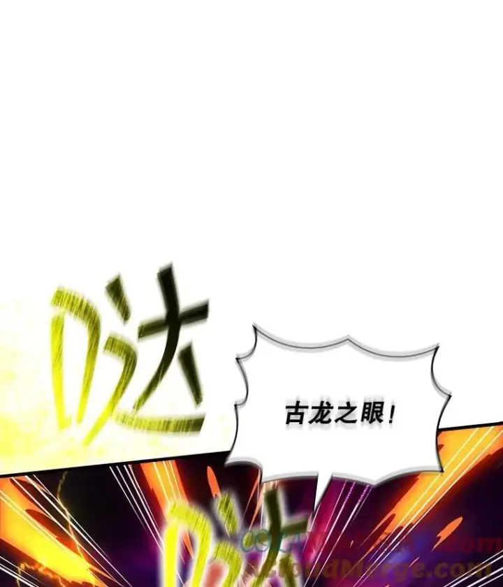 《SSS级隐藏大佬》95.任务已开始图57