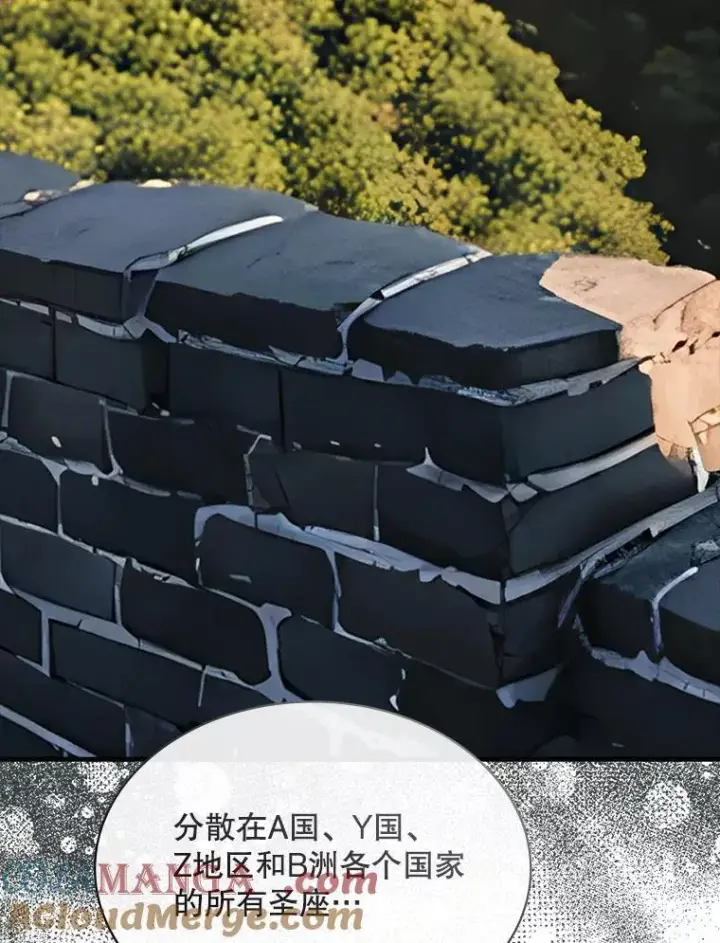 《SSS级隐藏大佬》112.波思冬图97