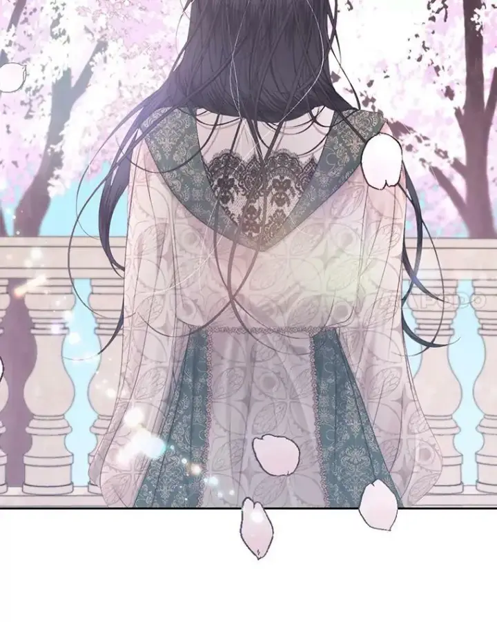 《The Siren : 恶魔的契约家人》9.樱花树的重生图100