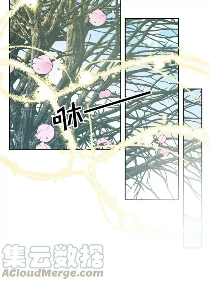 《The Siren : 恶魔的契约家人》9.樱花树的重生图53