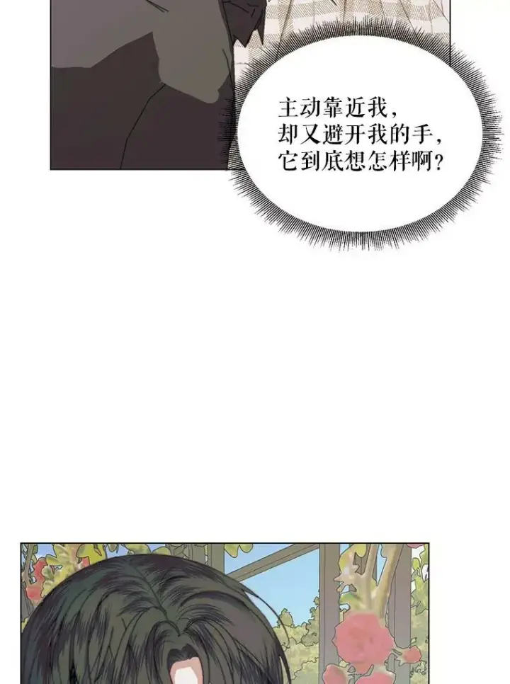 《The Siren : 恶魔的契约家人》20.包扎图35