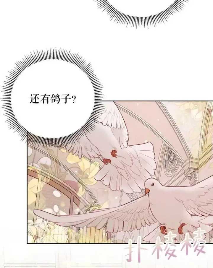 《The Siren : 恶魔的契约家人》52.再次相遇图86