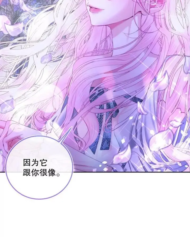 《The Siren : 恶魔的契约家人》57.夏托伯爵之死图46