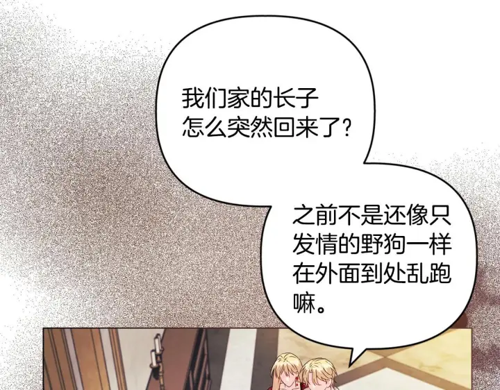 《安洁莉卡：不一样的夫人》第18话 私生子德里图27