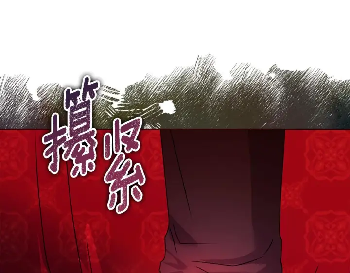 《安洁莉卡：不一样的夫人》第18话 私生子德里图84