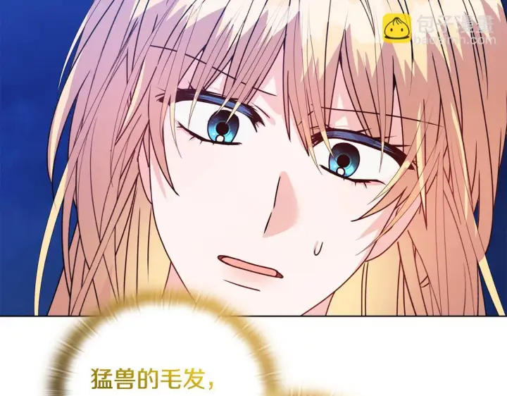 《安洁莉卡：不一样的夫人》第26话 魔法公证图76