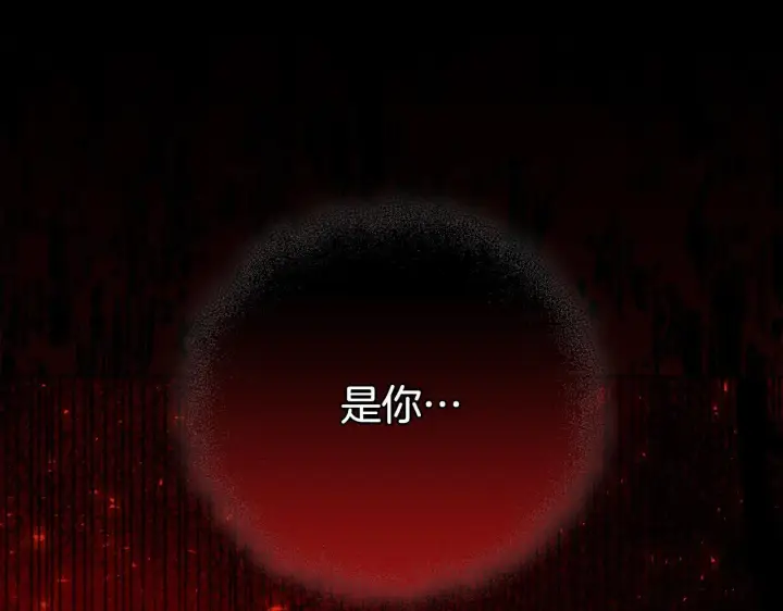 《安洁莉卡：不一样的夫人》第27话 沉重的代价图194