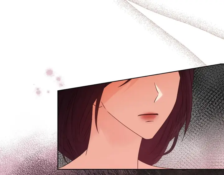 《安洁莉卡：不一样的夫人》第35话 求婚图13