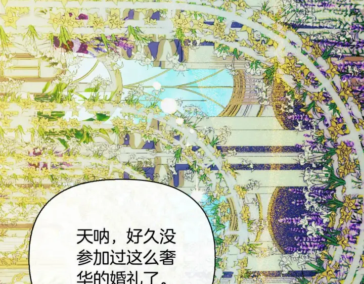 《安洁莉卡：不一样的夫人》完结篇 期盼已久的婚礼图136