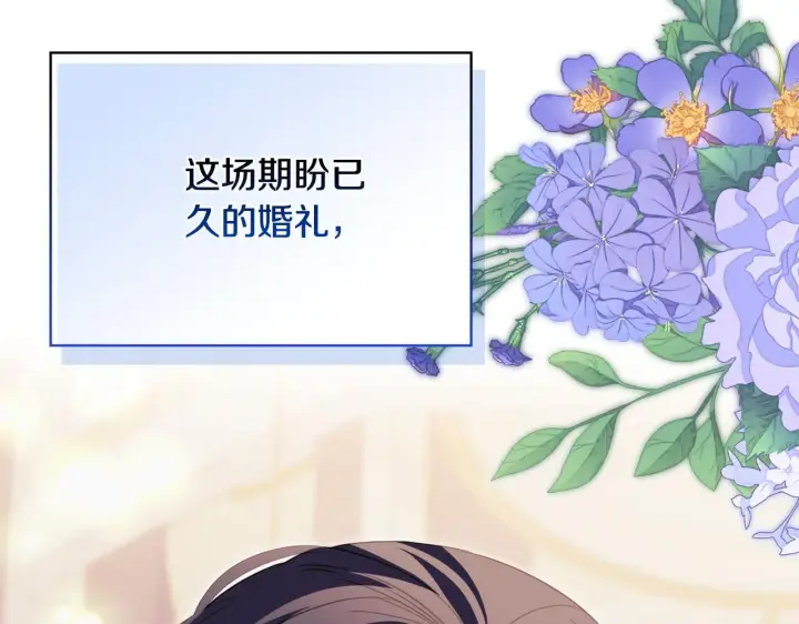 《安洁莉卡：不一样的夫人》完结篇 期盼已久的婚礼图162