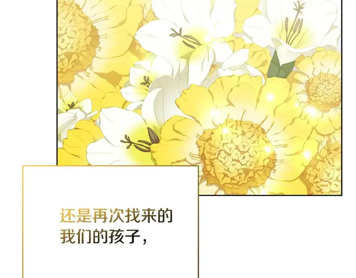 《安洁莉卡：不一样的夫人》完结篇 期盼已久的婚礼图236