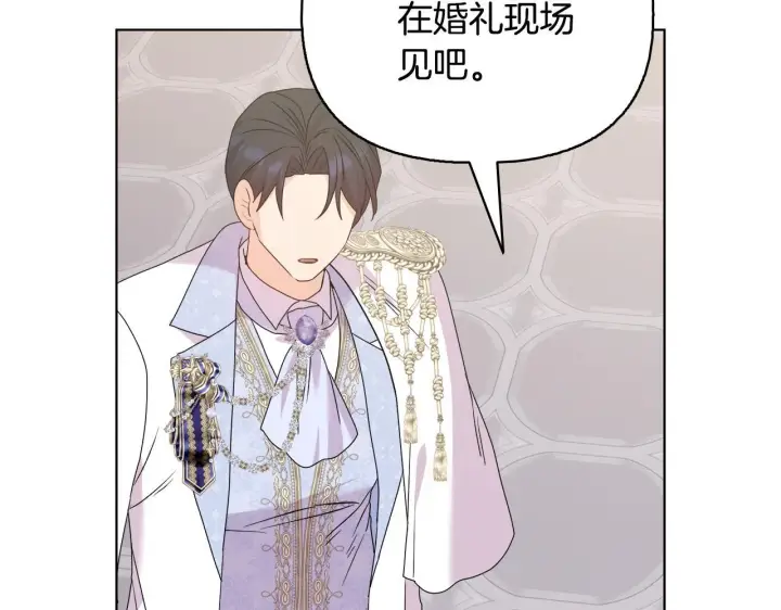 《安洁莉卡：不一样的夫人》完结篇 期盼已久的婚礼图62