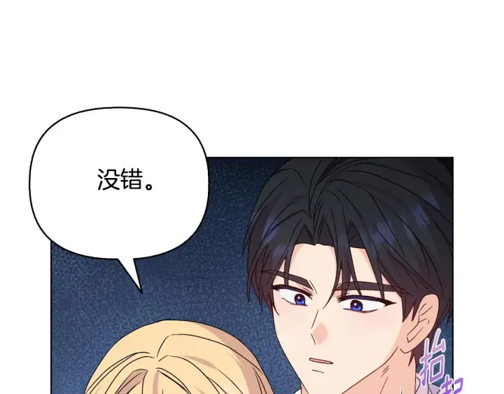 《安洁莉卡：不一样的夫人》完结篇 期盼已久的婚礼图98