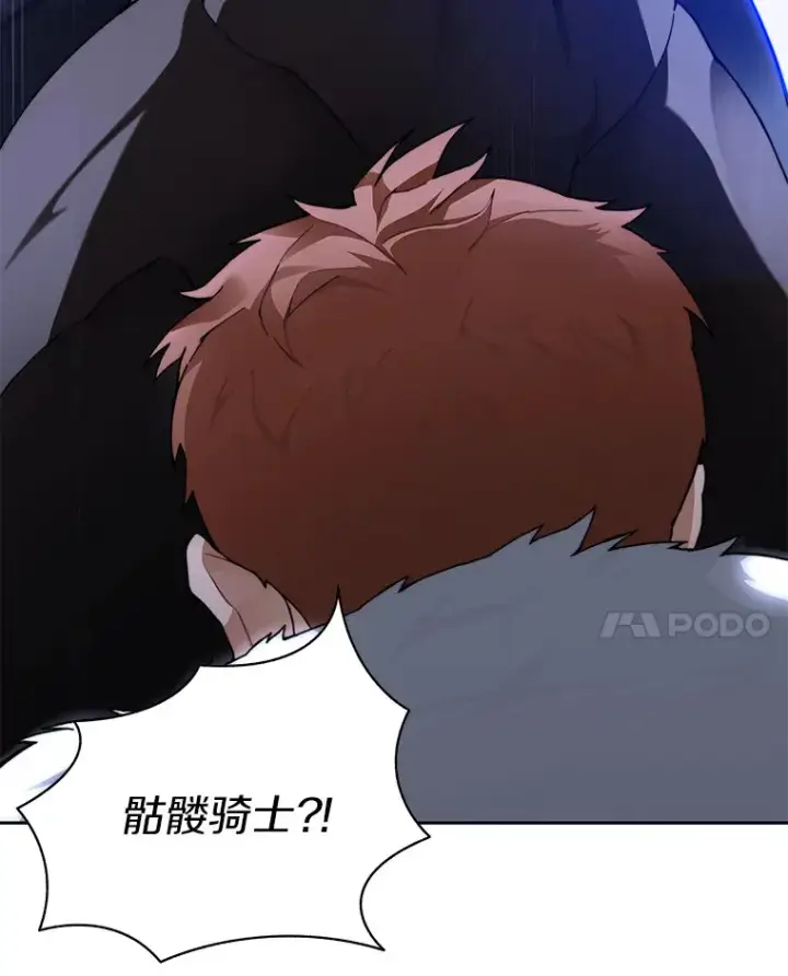 《百层塔内的钉子户》35.骷髅骑士图33