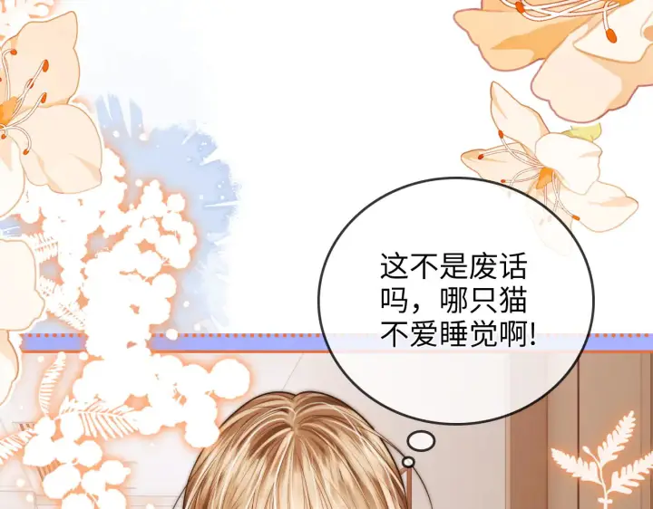 漫画《帮我拍拍》第38话  雏鸟情节第78张图