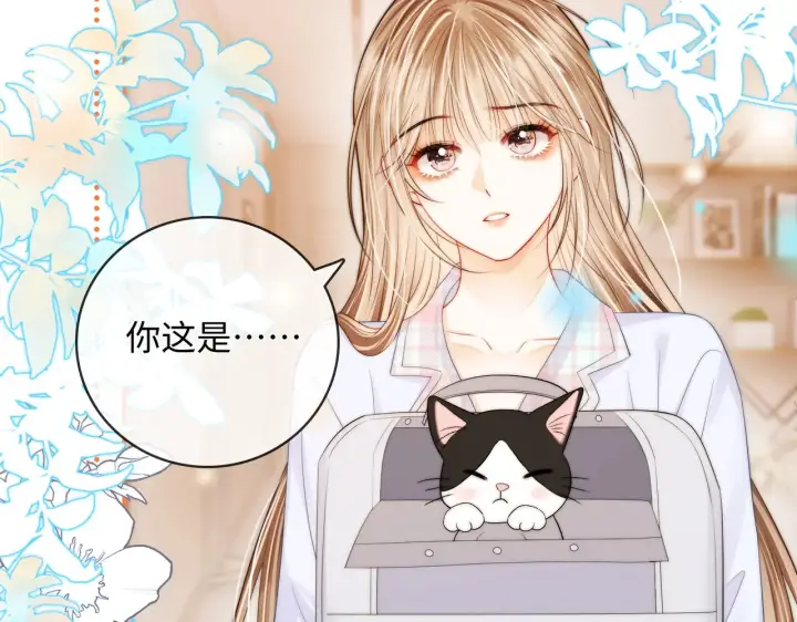 漫画《帮我拍拍》第57话  投奔第76张图