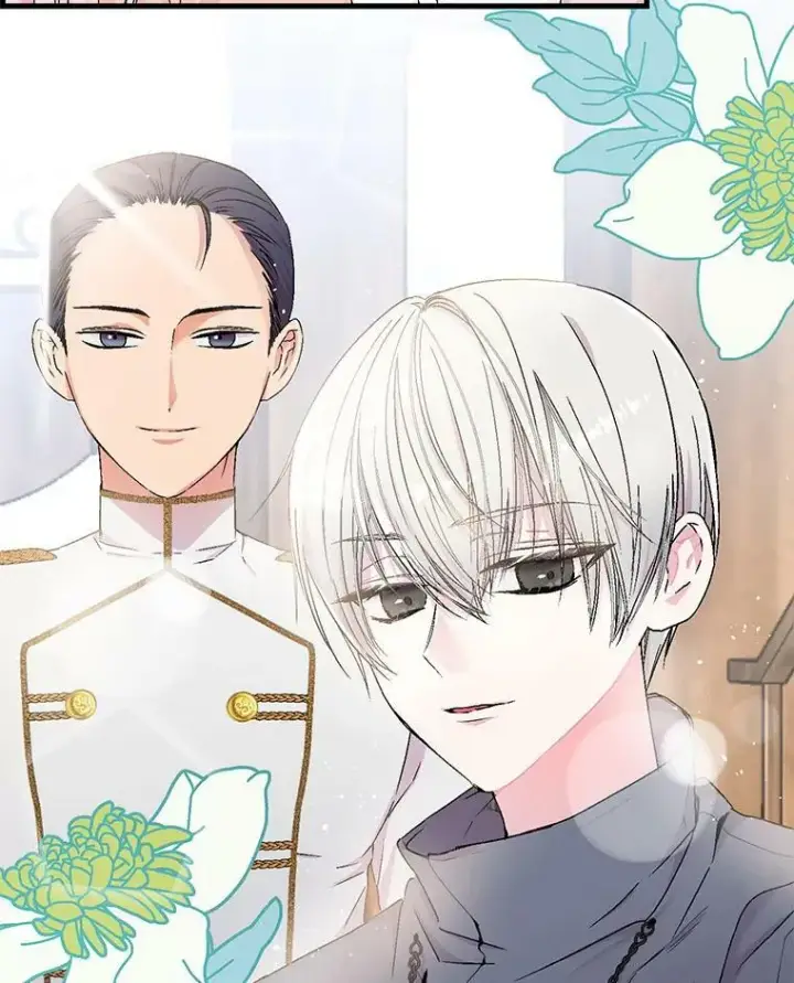 《宝贝皇后殿下》53.再见玛德琳图34