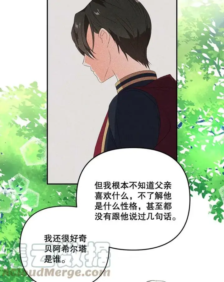 《宝贝皇后殿下》13.加恩的故事图19