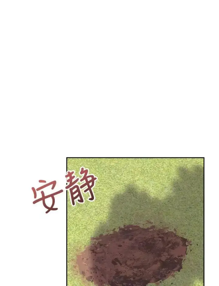 《宝贝皇后殿下》31.召唤精灵图12