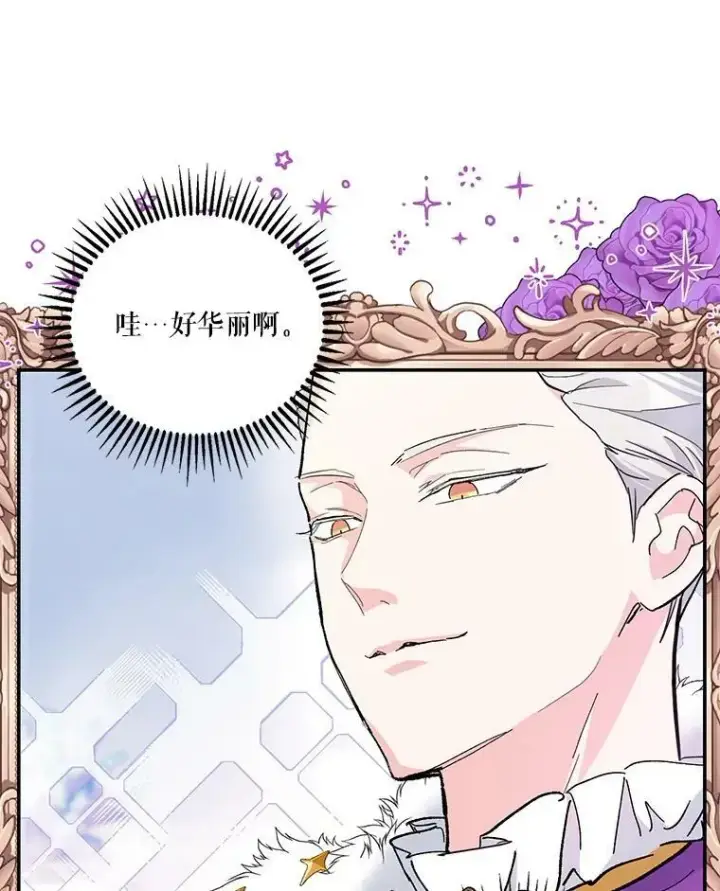 《宝贝皇后殿下》44.重要的日程图102