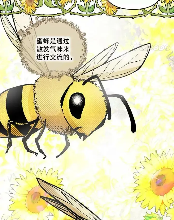 《宝贝皇后殿下》48.独处的时间图59