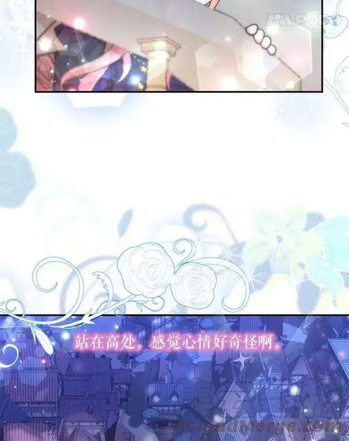 《宝贝皇后殿下》49.看烟花图41
