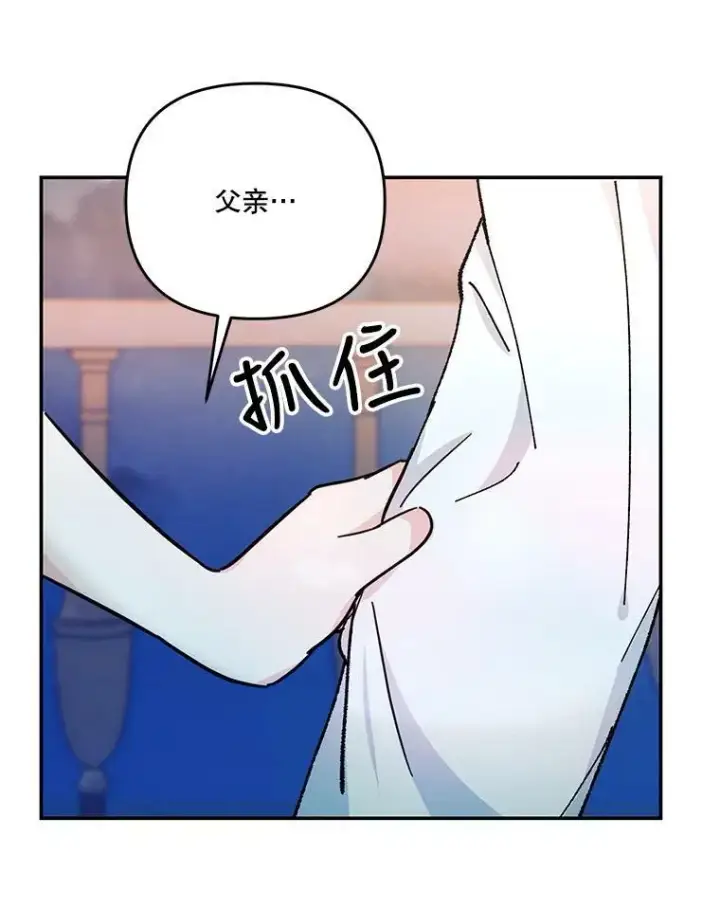 《宝贝皇后殿下》49.看烟花图99
